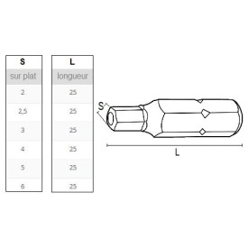 Embout spécial pour vis inviolables à 6 pans creux avec téton central – surplat 2 à 6 mm