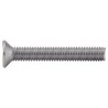 VIS INVIOLABLE TÊTE FRAISÉE SNAKE EYES INOX A2 – DOUBLE ERGOT – M3 À M6