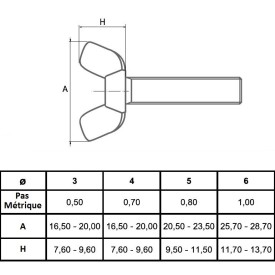 Vis à oreilles forme papillon – Acier zingué – DIN 316 – M3 à M16