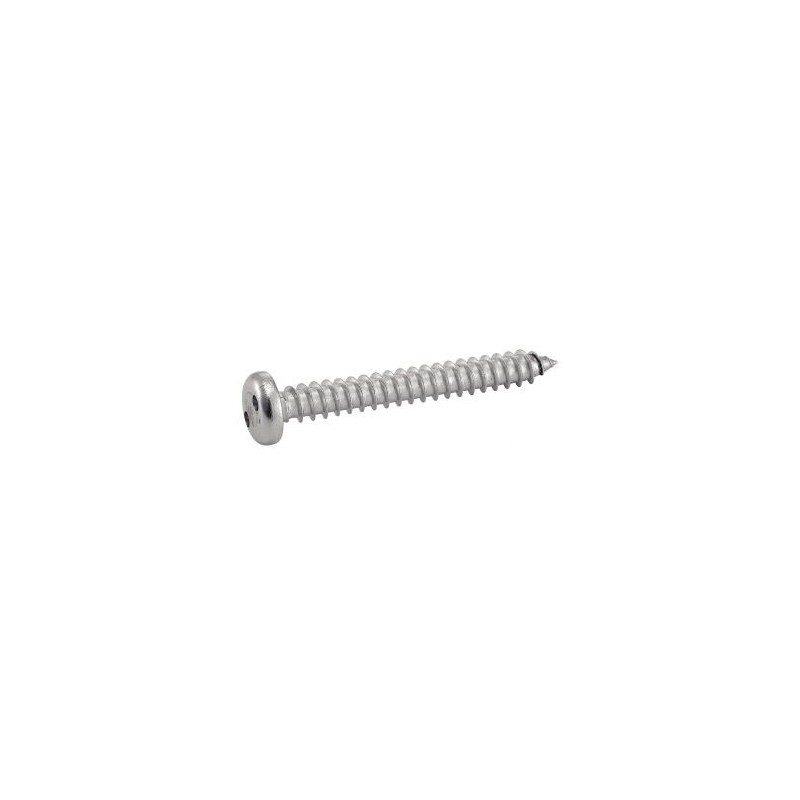 Vis inviolable Snake Eyes en inox A2 avec tête cylindrique – Fixation anti-effraction