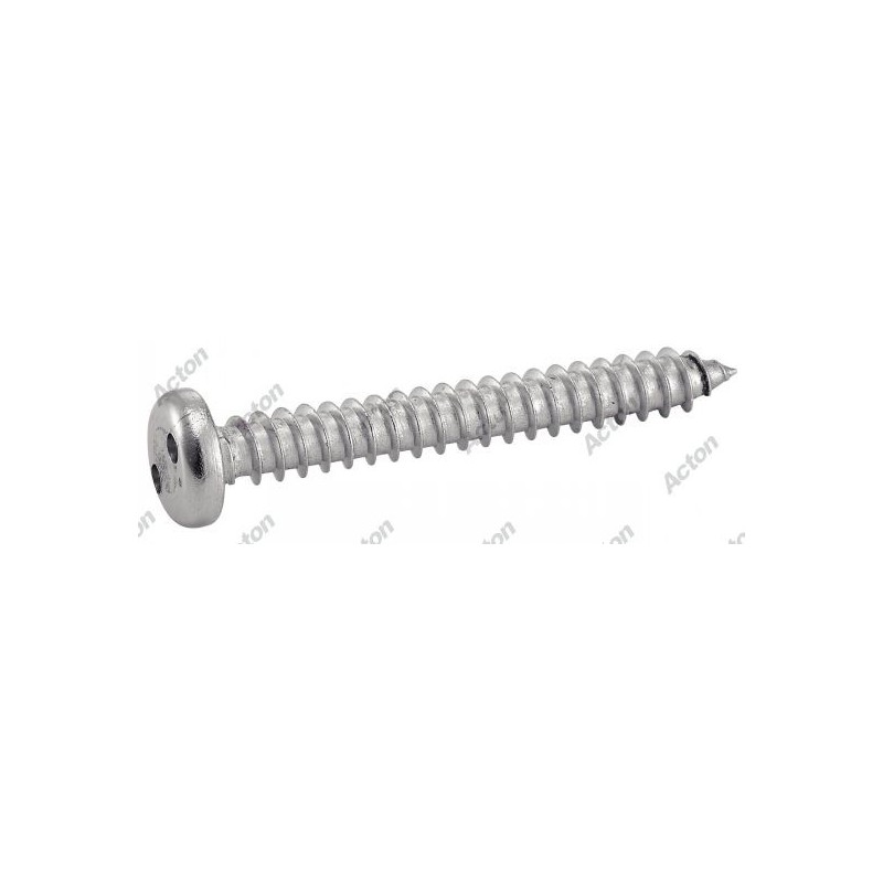 VIS À TÔLE TÊTE CYLINDRIQUE INVIOLABLE SNAKE EYES INOX A2 – DIN 7981