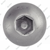 Vis tête bombée six pans creux inox A4 - anticorrosion