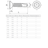 Vis autoperceuse tête fraisée six lobes - Inox A4